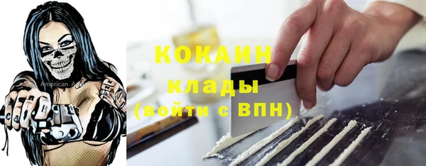 винт Верея