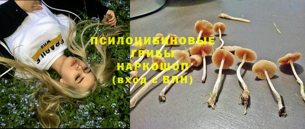 винт Верея