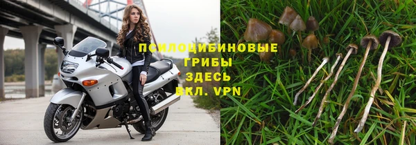 сатива Верхний Тагил