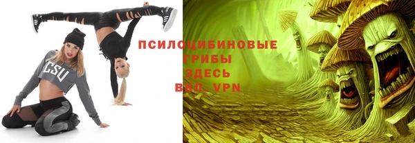 винт Верея